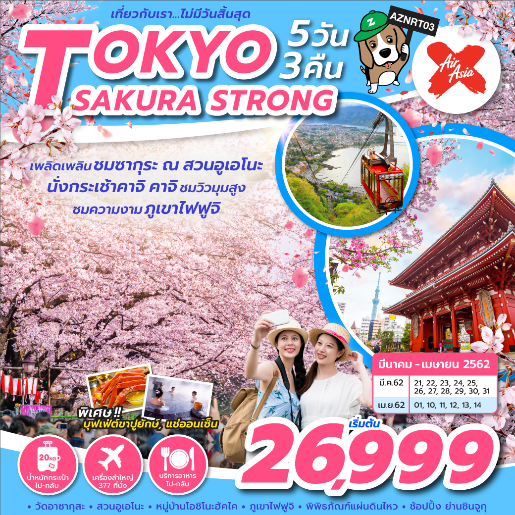 สงกรานต์ ทัวร์ญี่ปุ่น TOKYO SAKURA STRONG 5D3N  (MAR-APR19) (AZNRT03)