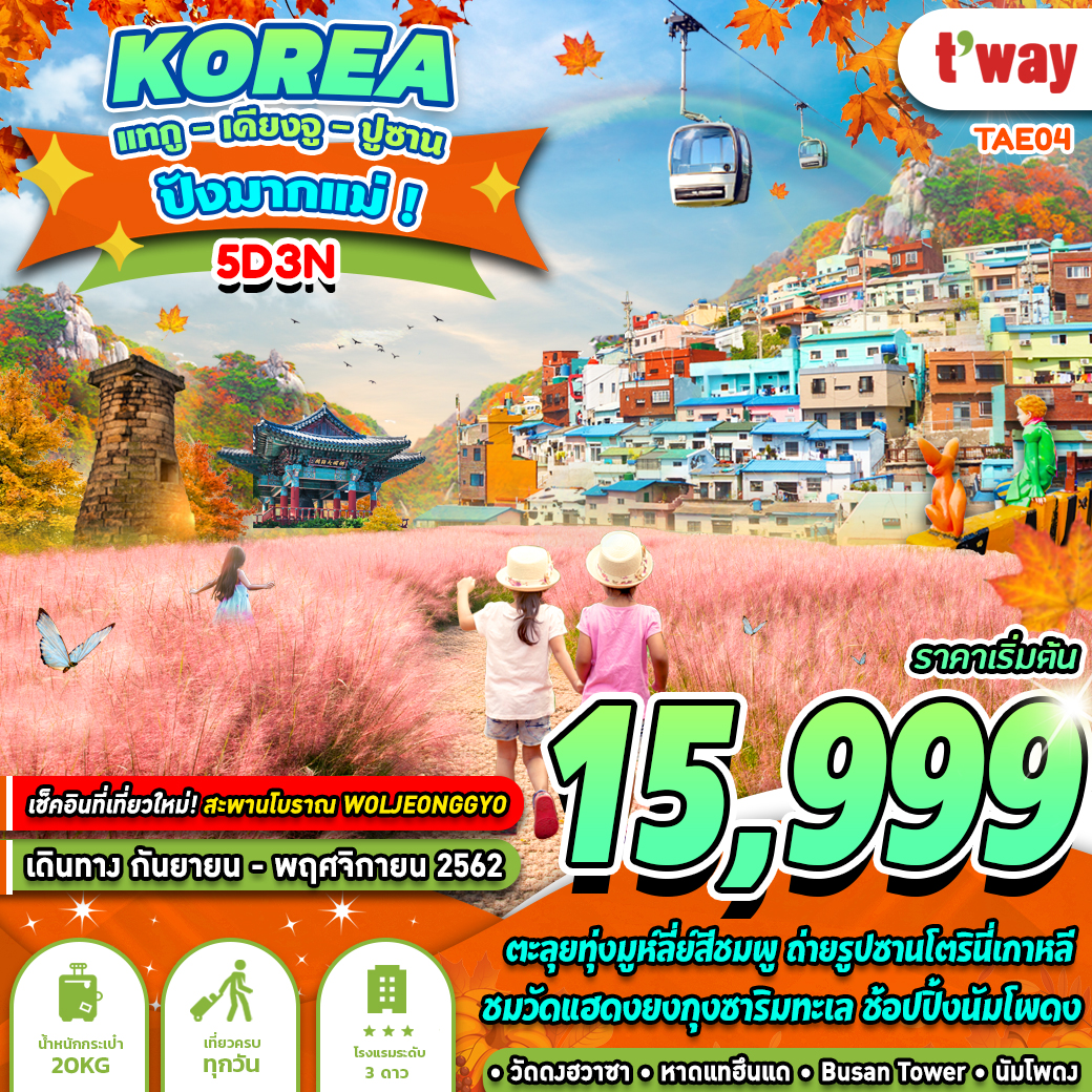 ทัวร์เกาหลี KOREA  แทกู เคียงจู ปูซาน ปังมากแม่ 5วัน3คืน (NOV19)(TAE04)