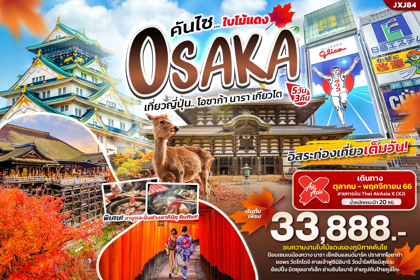 Kansai-ใบไม้แดง-โอซาก้า-นารา-เกียวโต-5วัน3คืน