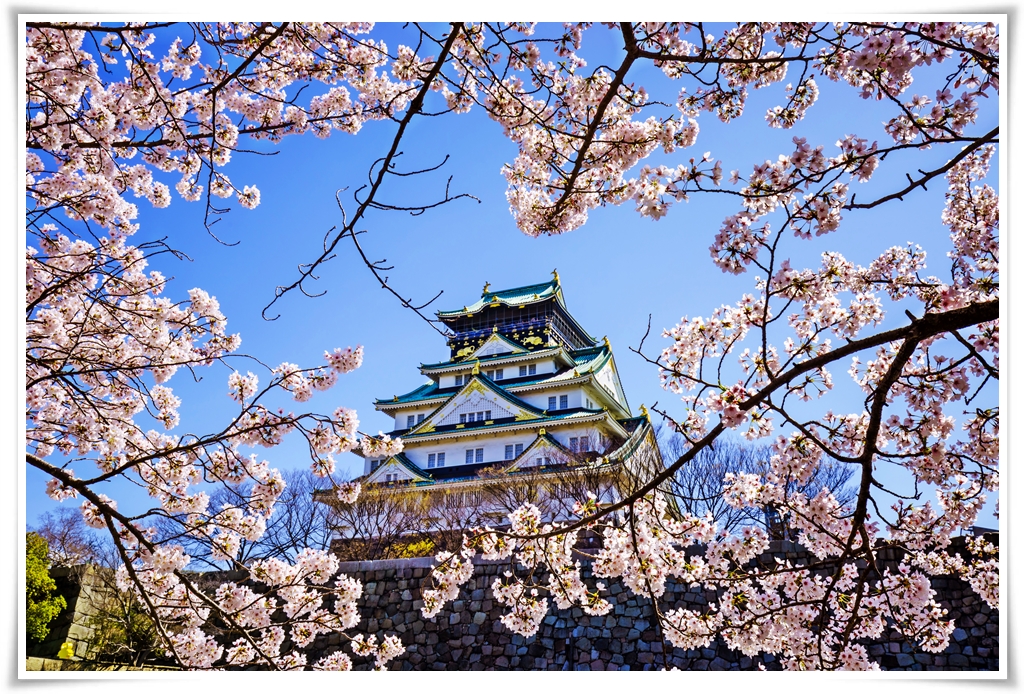 ทัวร์ญี่ปุ่น HAPPY TOKYO SAY HI SAKURA 5D 3N (APR18)(HJT-XW53-SP01)