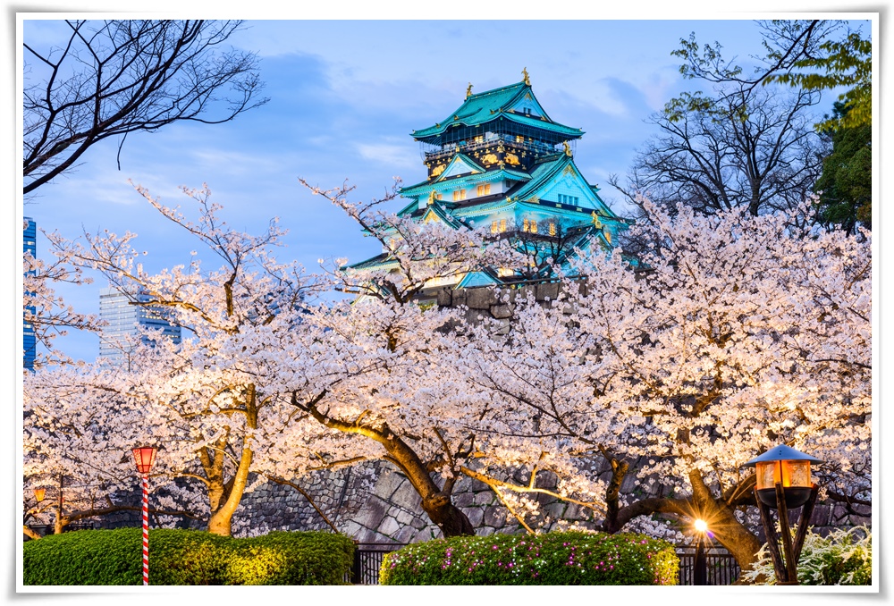 ทัวร์ญี่ปุ่น SAKURA LAND IN OSAKA TAKAYAMA 5วัน3คืน (MAR-APR18) (KIX02)