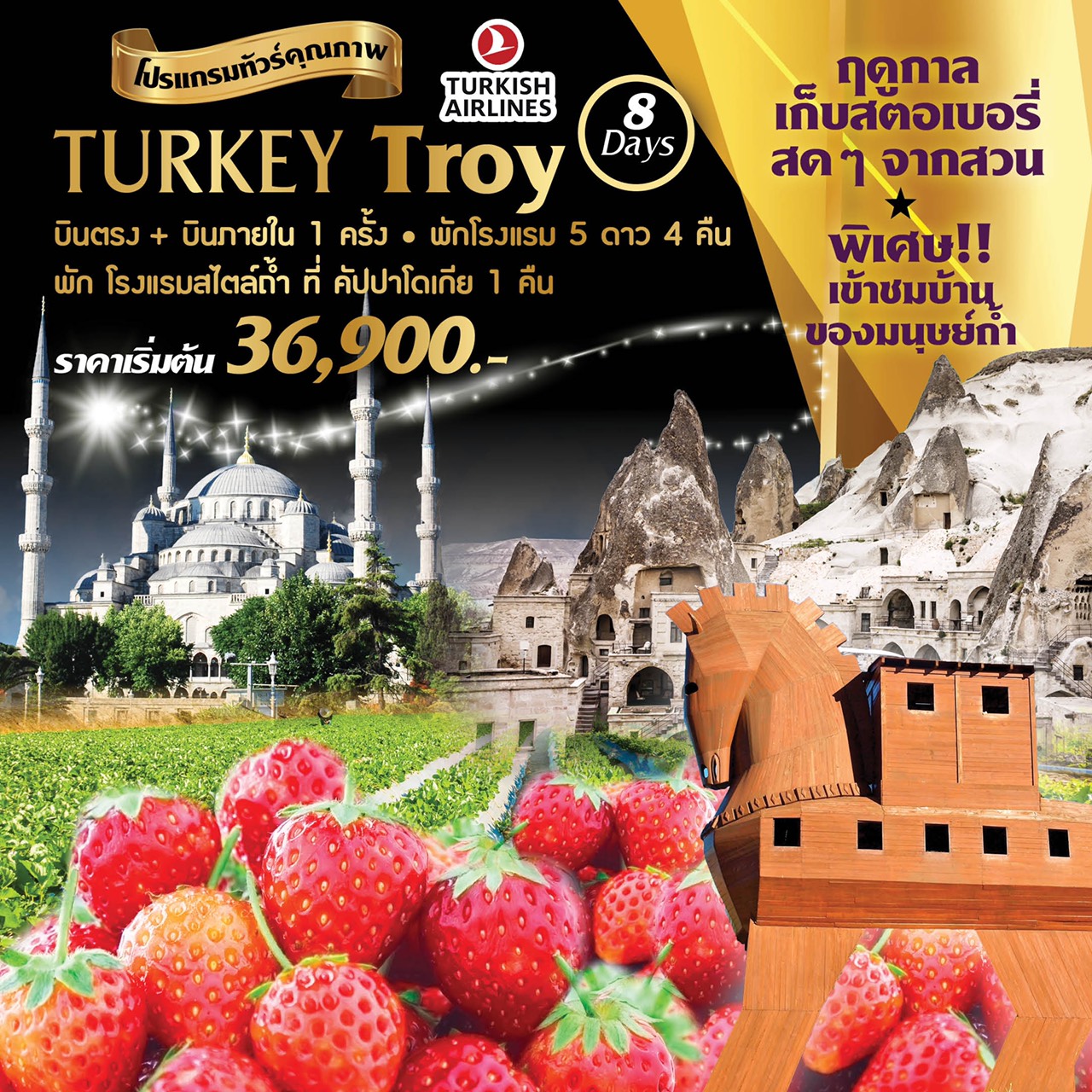 ทัวร์ตุรกี Turkey Troy 8 Days 5 Nights (SEP-OCT19)(TK )