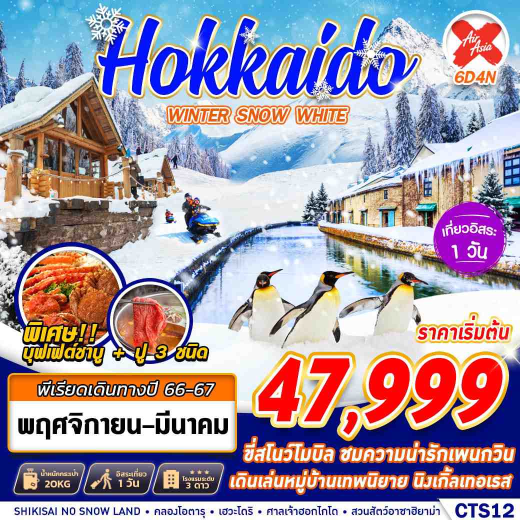 HOKKAIDO-WINTER-SNOW-WHITE-FREEDAY-6D4N