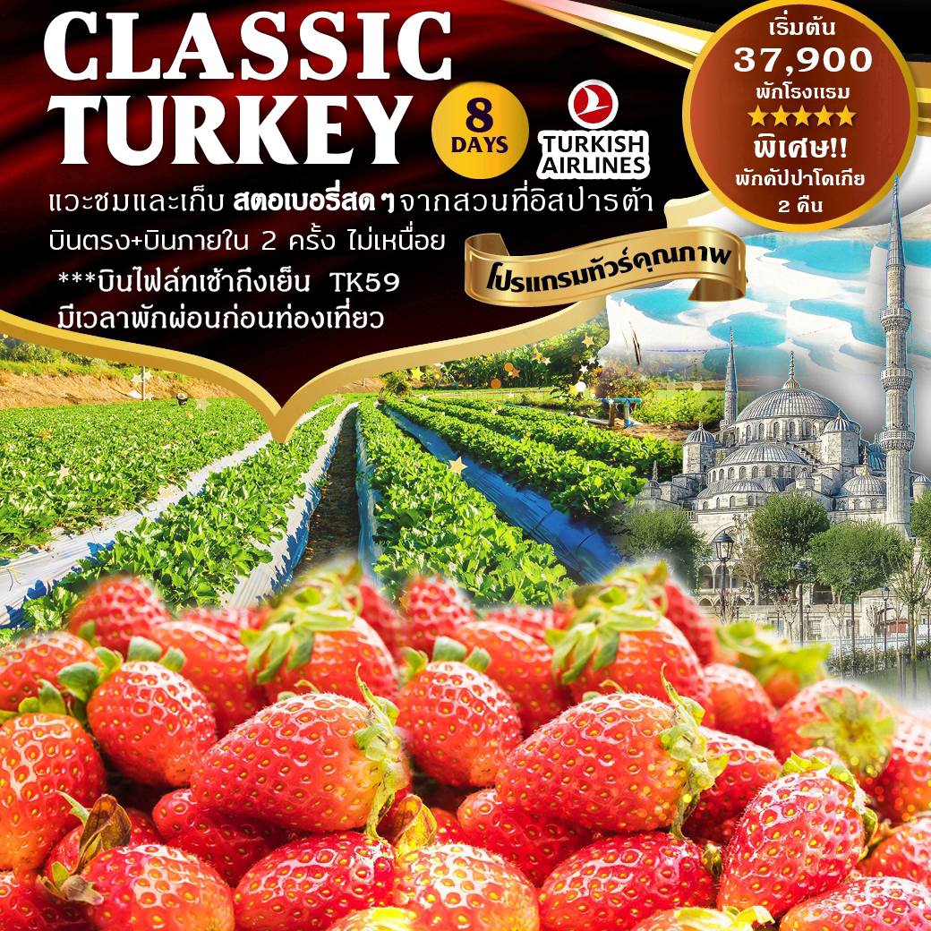 ทัวร์ตุรกี Classic Turkey Strawberry 8D 6N (TK59-TK58) (SEP-OCT'19)