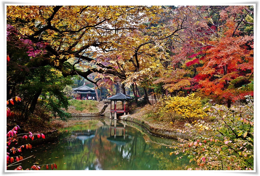 ทัวร์เกาหลี เกาะนามิ FIRST SPRING IN KOREA 5 วัน 4 คืน 