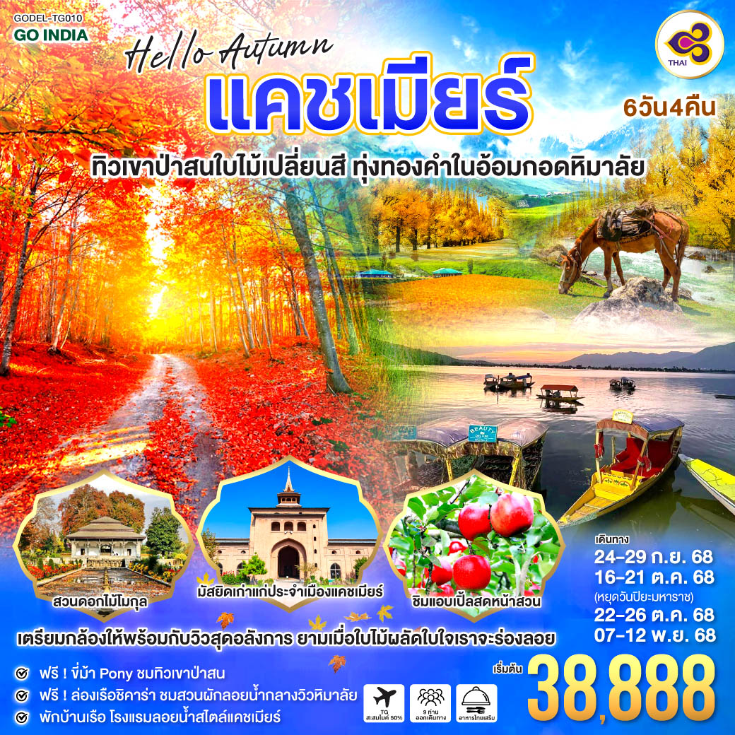 HELLO-AUTUMN-KASHMIR-ทิวเขาป่าสนใบไม้เปลี่ยนสี-ทุ่งทองคำในอ้อมกอดหิมาลัย-6วัน-4คืน