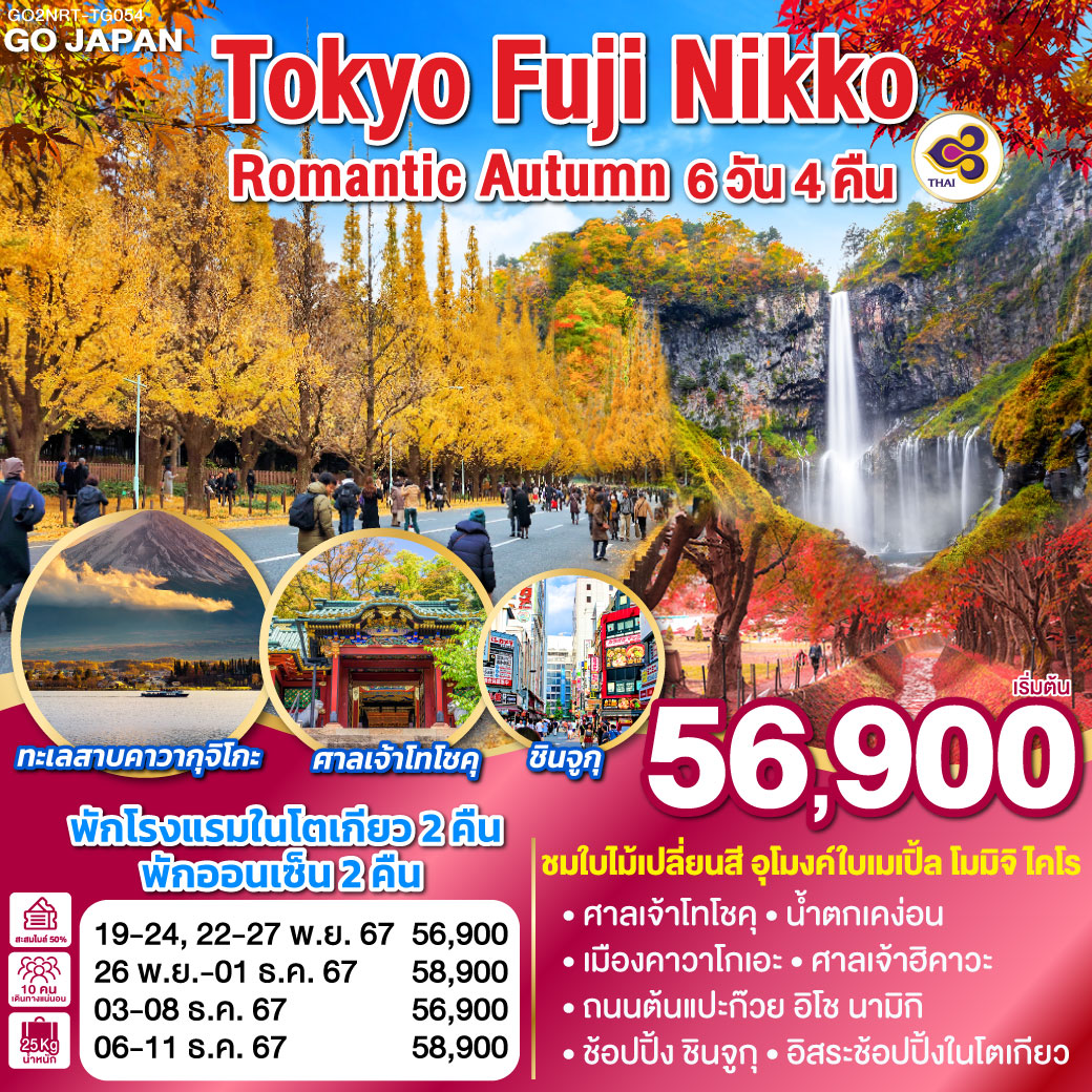 TOKYO FUJI NIKKO ROMANTIC AUTUMN 6D 4N โดยสายการบินไทย [TG]