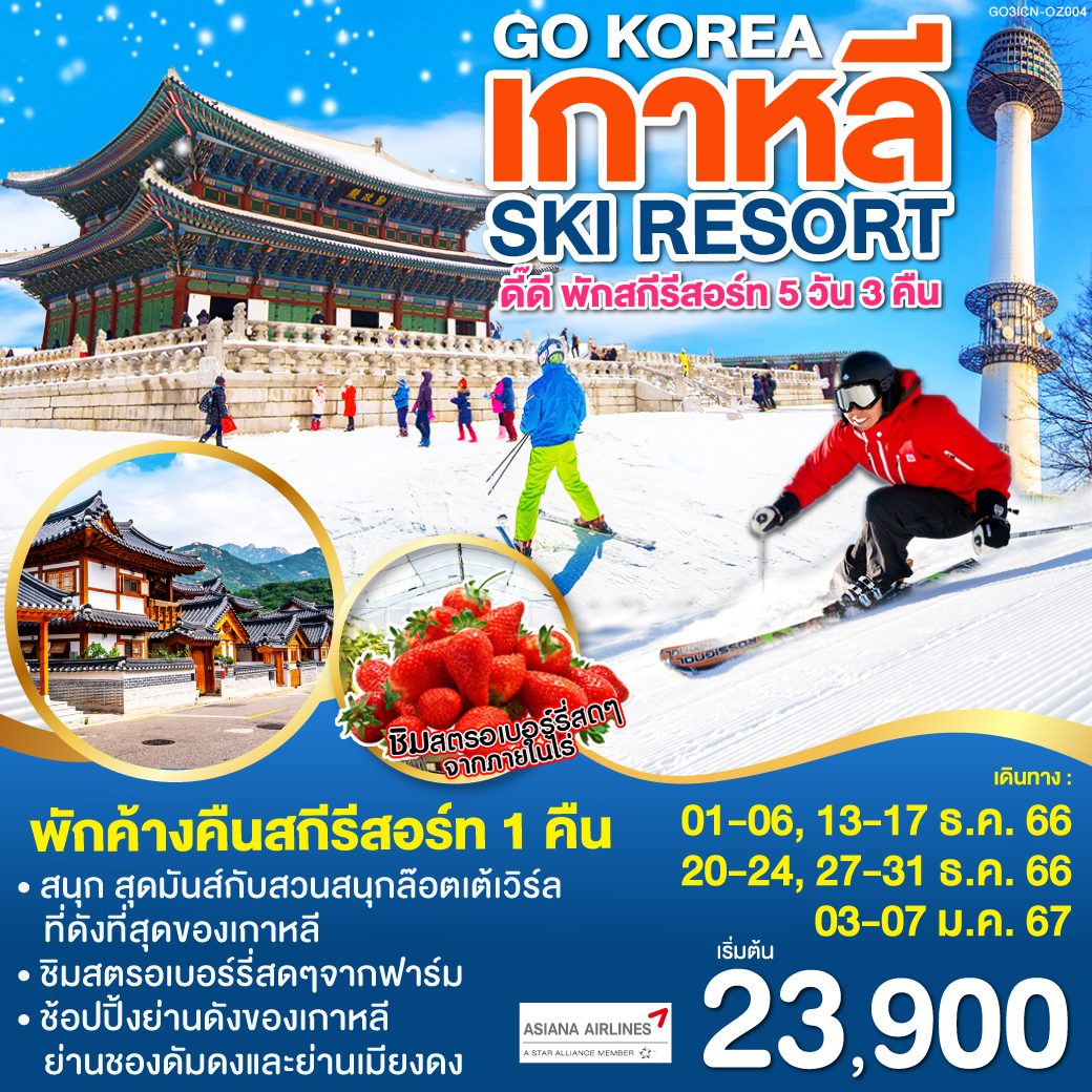 เกาหลี-ดี๊ดี-พักสกีรีสอร์ท-5-วัน-3-คืน-