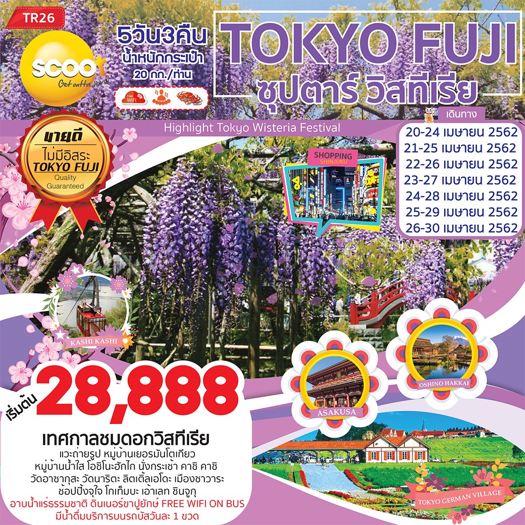 ทัวร์ญี่ปุ่น Tokyo Fuji ซุปตาร์  วิสทีเรีย 5วัน 3คืน (APR'19) TR26