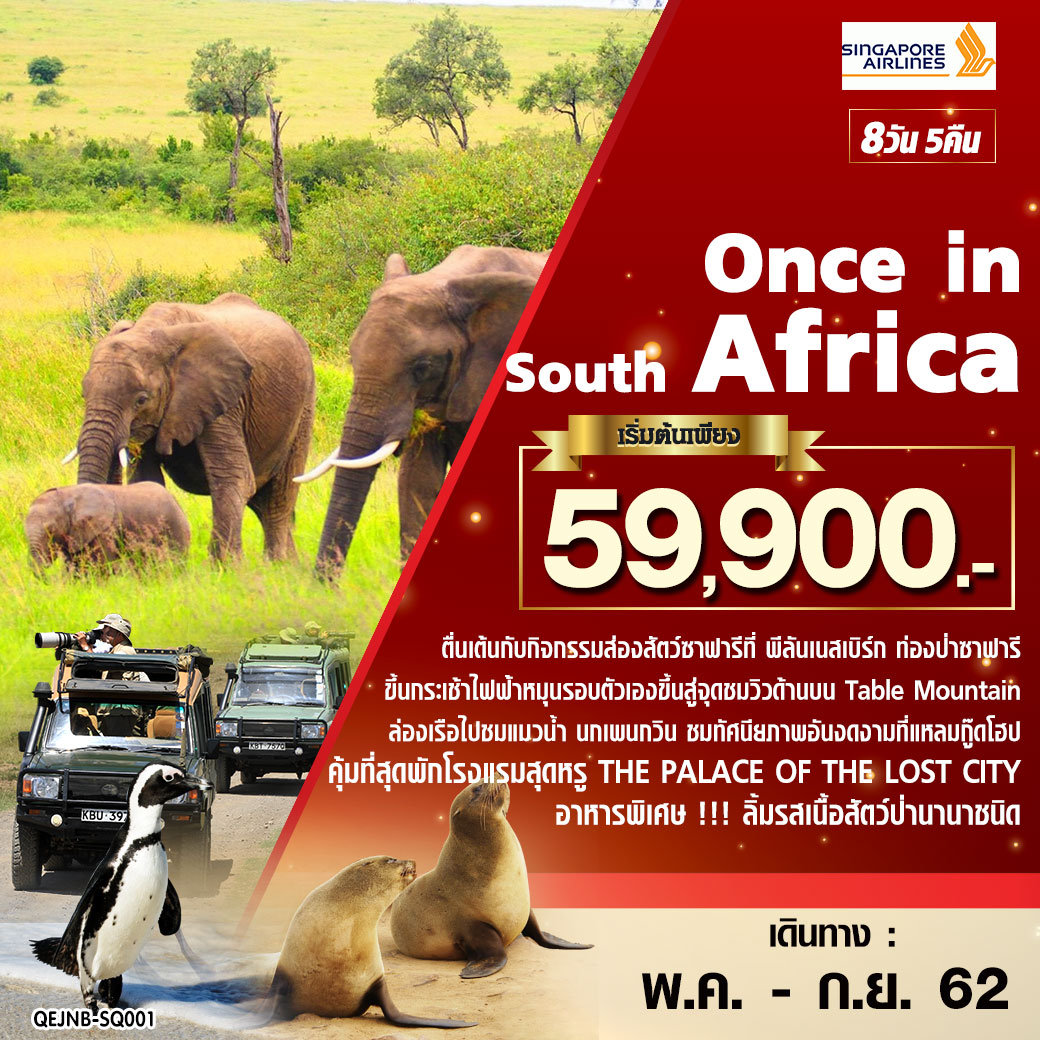 ทัวร์แอฟริกาใต้ Once in South Africa 8 วัน 5 คืน (JUN-SEP19)