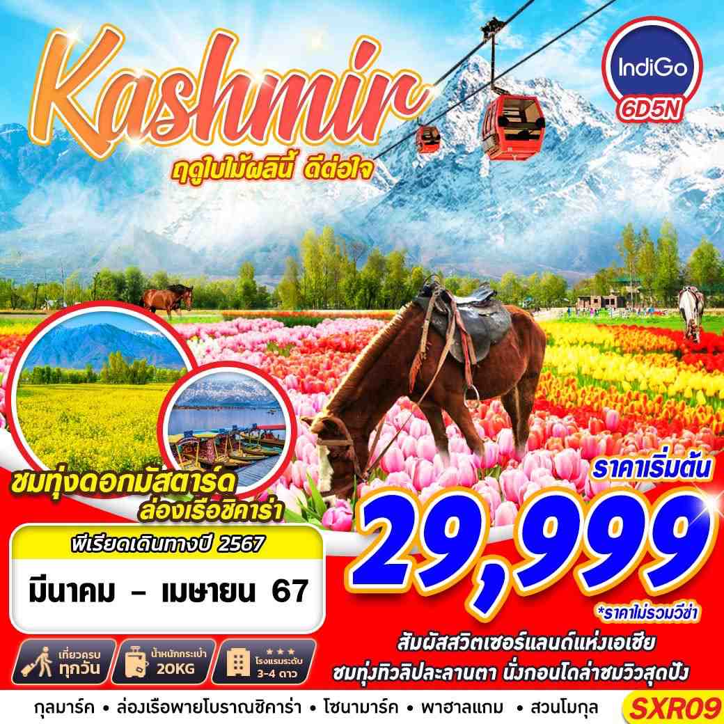 KASHMIR-ฤดูใบไม้ผลินี้-ดีต่อใจ-BY-IndiGo-Airlines-(6E)-6D5N