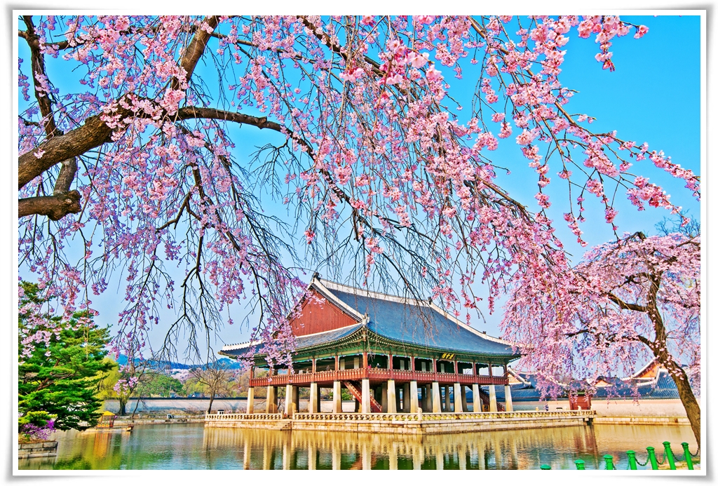 ทัวร์เกาหลี เกาะนามิ SPRING SEASON IN KOREA 5 วัน 3 คืน
