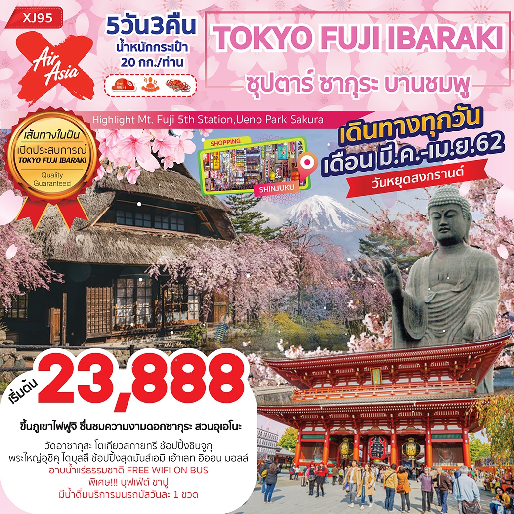 ทัวร์ญี่ปุ่น TOKYO FUJI IBARAKI ซุปตาร์ ซากุระ บานชมพู 5D 3N (MAR-APR18)XJ95