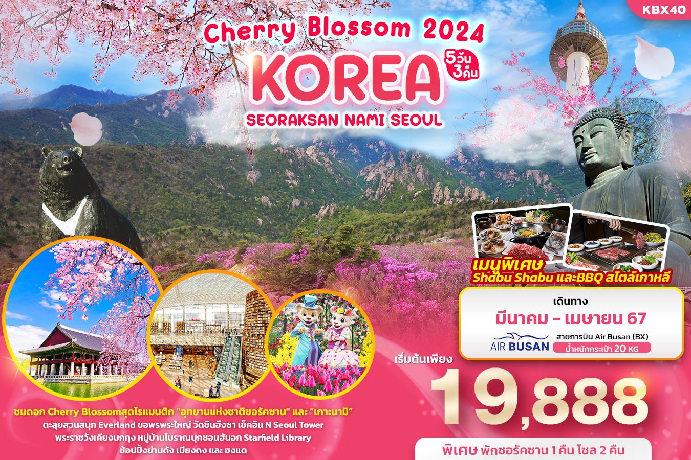 KOREA Cherry Blossom 2024 SEORAKSAN NAMI SEOUL 5วัน3คืน โดยสายการบิน Air Busan (BX)