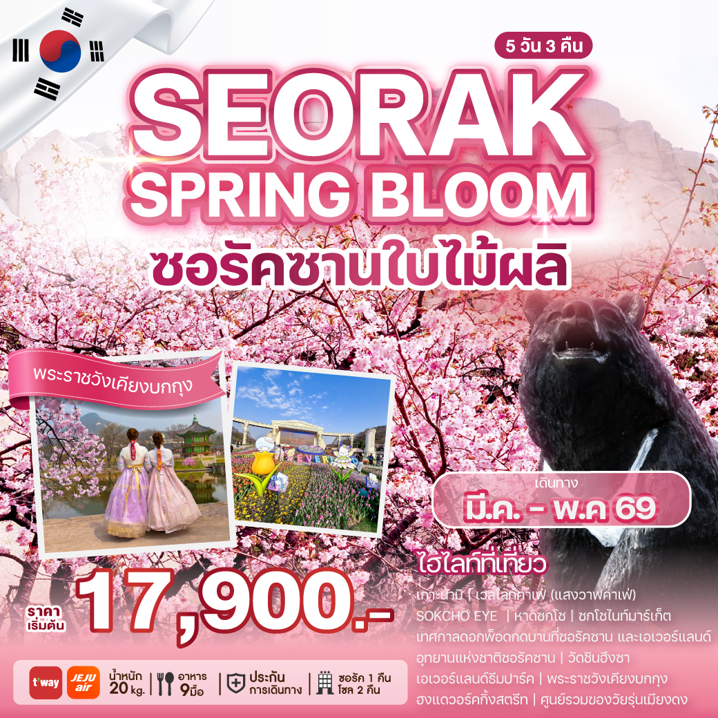 ทัวร์เกาหลี-SEORAK-SPRING-BLOOM-5วัน-3คืน