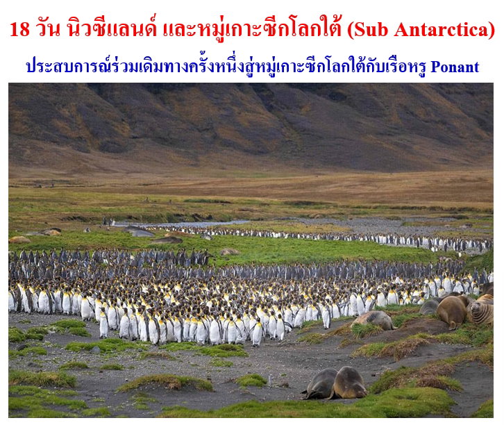 18-วัน-นิวซีแลนด์-และหมู่เกาะซีกโลกใต้-(Sub-Antarctica)