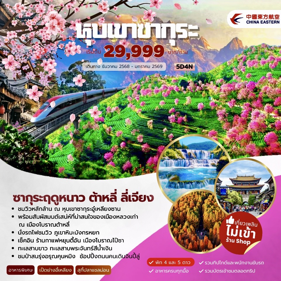 ซากุระฤดูหนาว-ต้าหลี่-ลี่เจียง-5วัน-4คืน