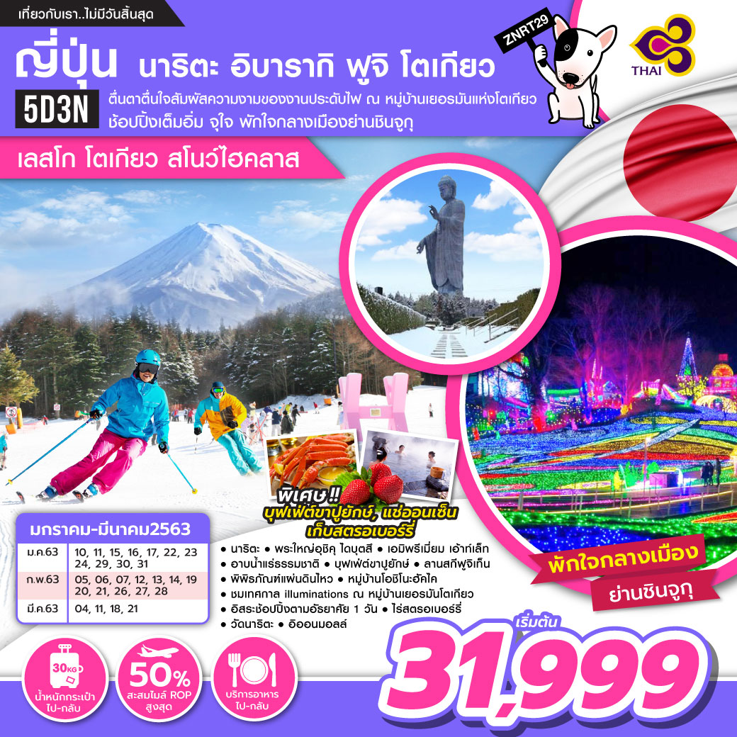 ทัวร์ญี่ปุ่น นาริตะ อิบารากิ ฟูจิ โตเกียว สโนว์ไฮคลาส 5วัน3คืน (FEB-MAR20)(ZNRT29)