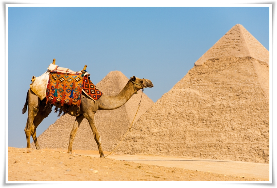 ทัวร์อียิปต์ PLEASURE EGYPT 8 D 5 N (DEC17)