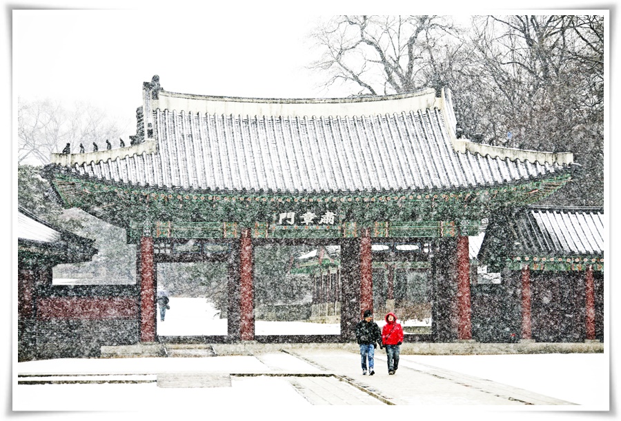 ทัวร์เกาหลี SNOW FROST IN KOREA 5D3N (XJ) DEC'17