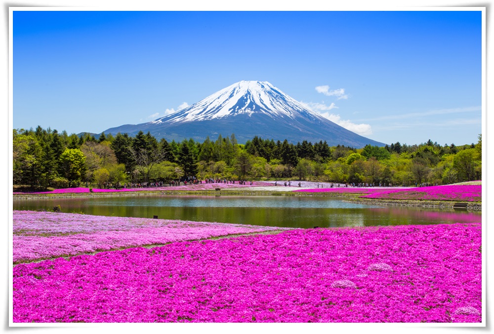 ทัวร์ญี่ปุ่น TOKYO NAGOYA 5 DAYS 4 NIGHTS 