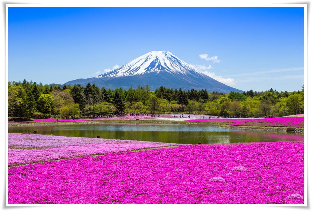 ทัวร์ญี่ปุ่น TOKYO NAGOYA 5 DAYS 4 NIGHTS 