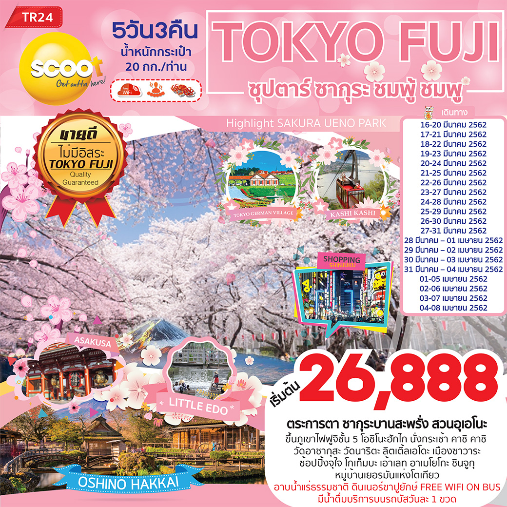 ทัวร์ญี่ปุ่น TOKYO FUJI ซุปตาร์ ซากุระ ชมพู้ ชมพู 5D3N (MAR-APR19) TR24