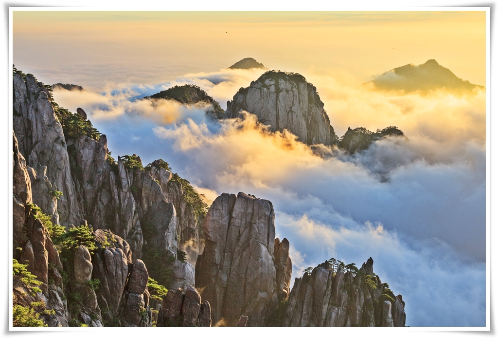 ทัวร์จีน เขาหวงซาน เซี่ยงไฮ้ หังโจว อู๋ซี 6 วัน 5 คืน