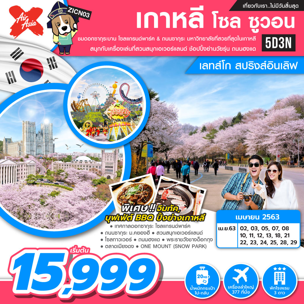 ทัวร์เกาหลี โซล ซูวอน สปริงส์อินเลิฟ 5วัน3คืน (APR20)(ZICN03)