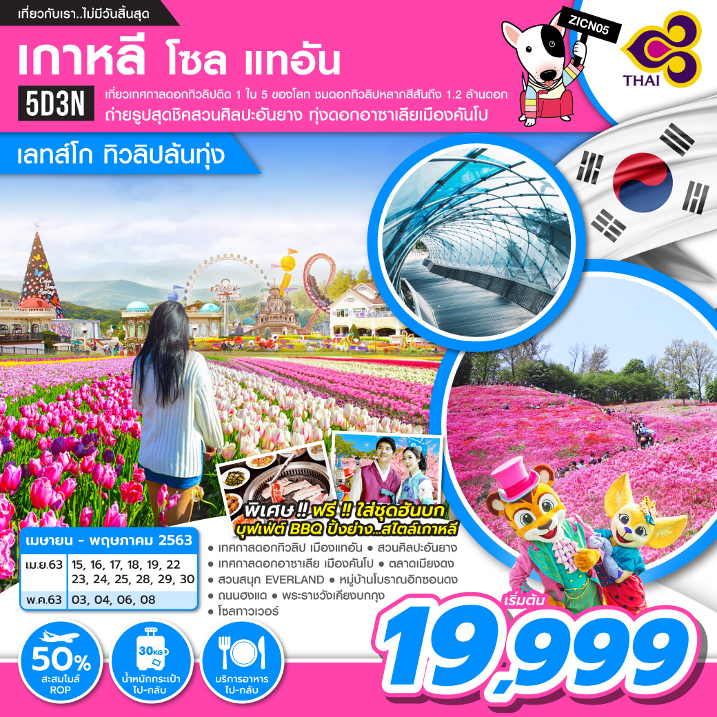 ทัวร์เกาหลี โซล แทอัน  ทิวลิปล้นทุ่ง 5D3N (APR-MAY20)(TG)(ZICN05)